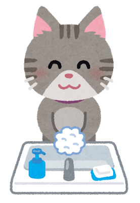 20200312 tearai animal neko